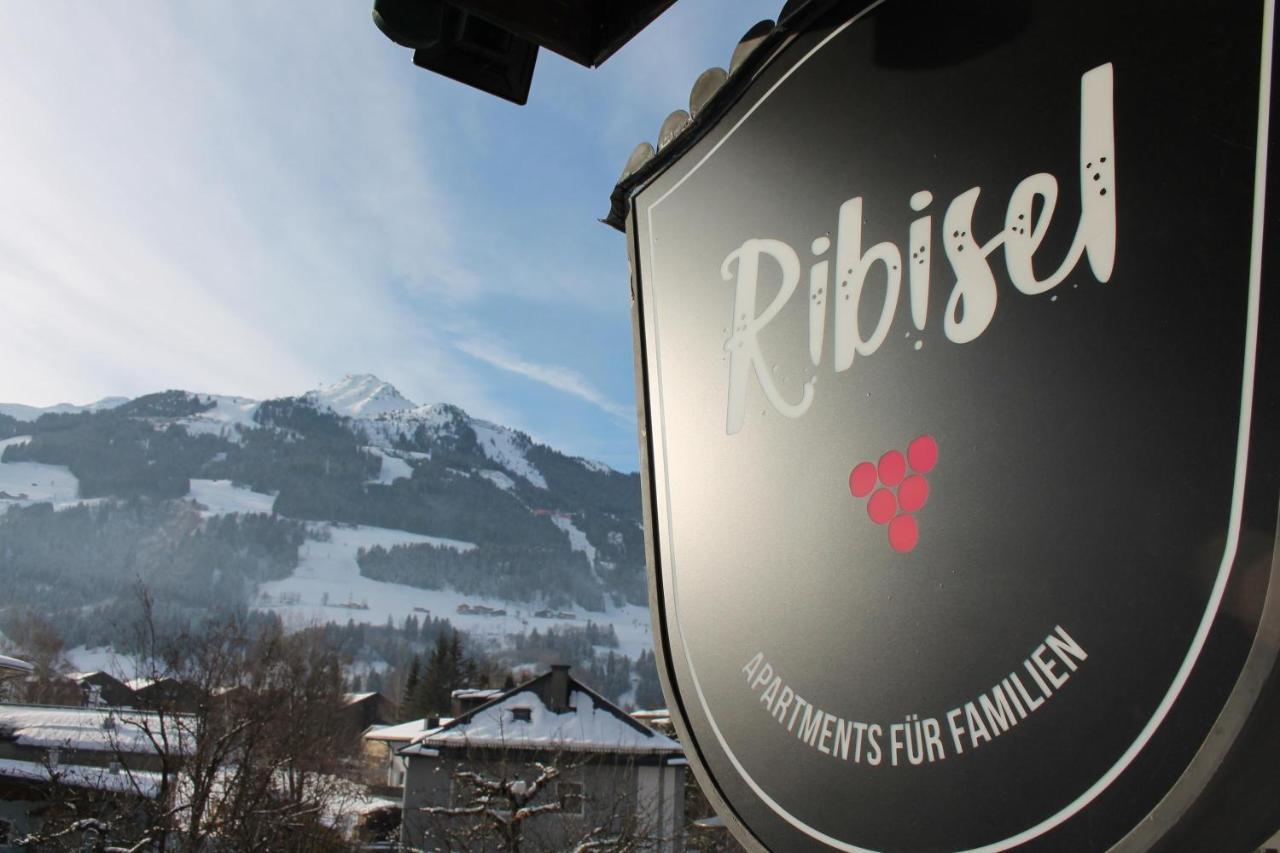 Ribisel Apartments Fuer Familien - Alpentherme Inklusive! バート・ホーフガシュタイン エクステリア 写真